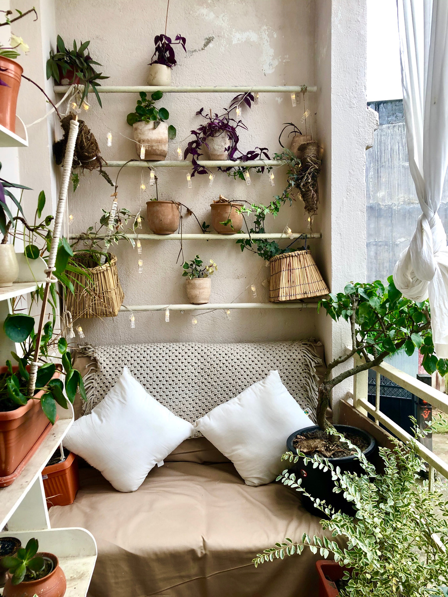 Indoors Plants on Shelves